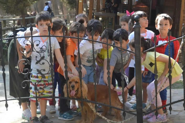 Arslanbey Doğal Yaşam Parkı’na Yoğun İlgi