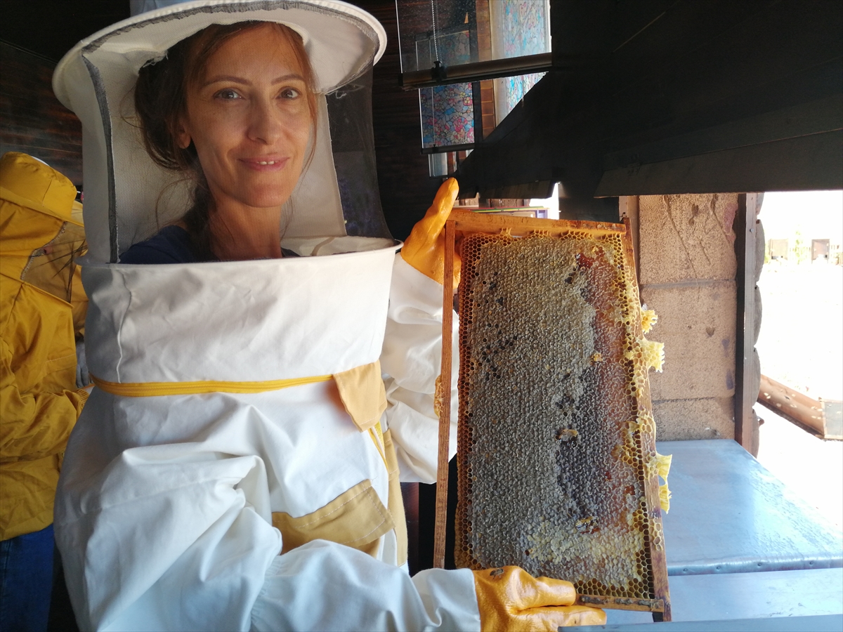 Kahramanmaraş'ta Afşin Belediyesi ile Hacettepe Üniversitesi iş birliğinde yürütülen proje kapsamında lavanta tarlasına kurulan "arı evi"nde üretilen balın ilk hasadı yapıldı.