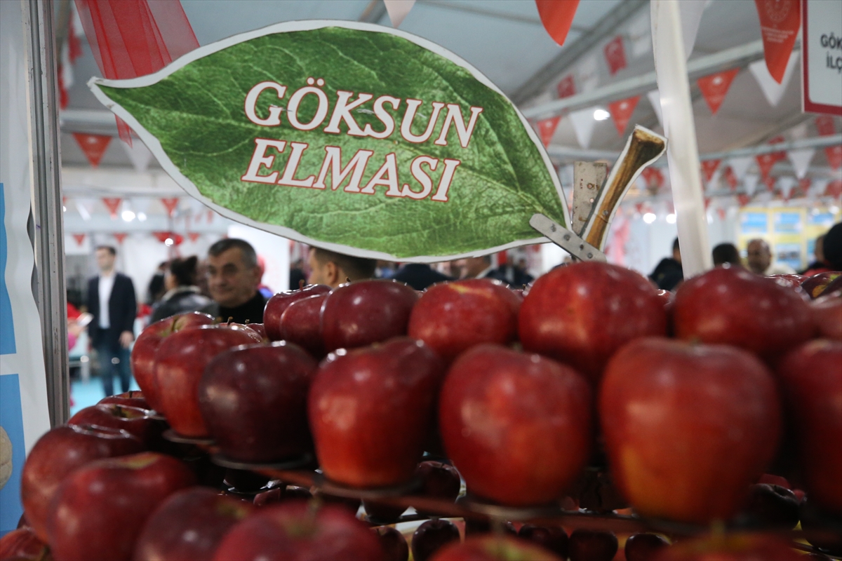 AA-20221120-29489411-29489404-KAHRAMANMARASTA_8_TARIM_GIDA_VE_HAYVANCILIK_FUARI_SONA_ERDI