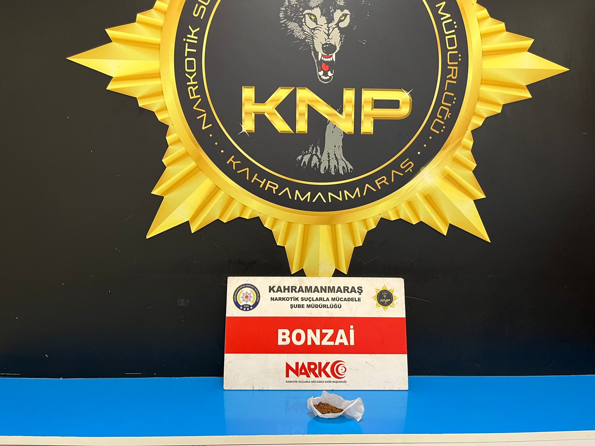 Fotoğraf (6)-1