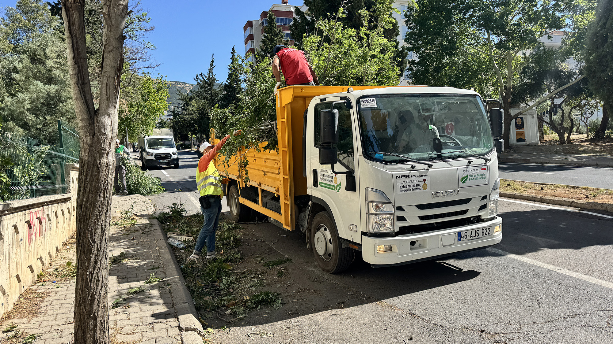 Fırtına (1)