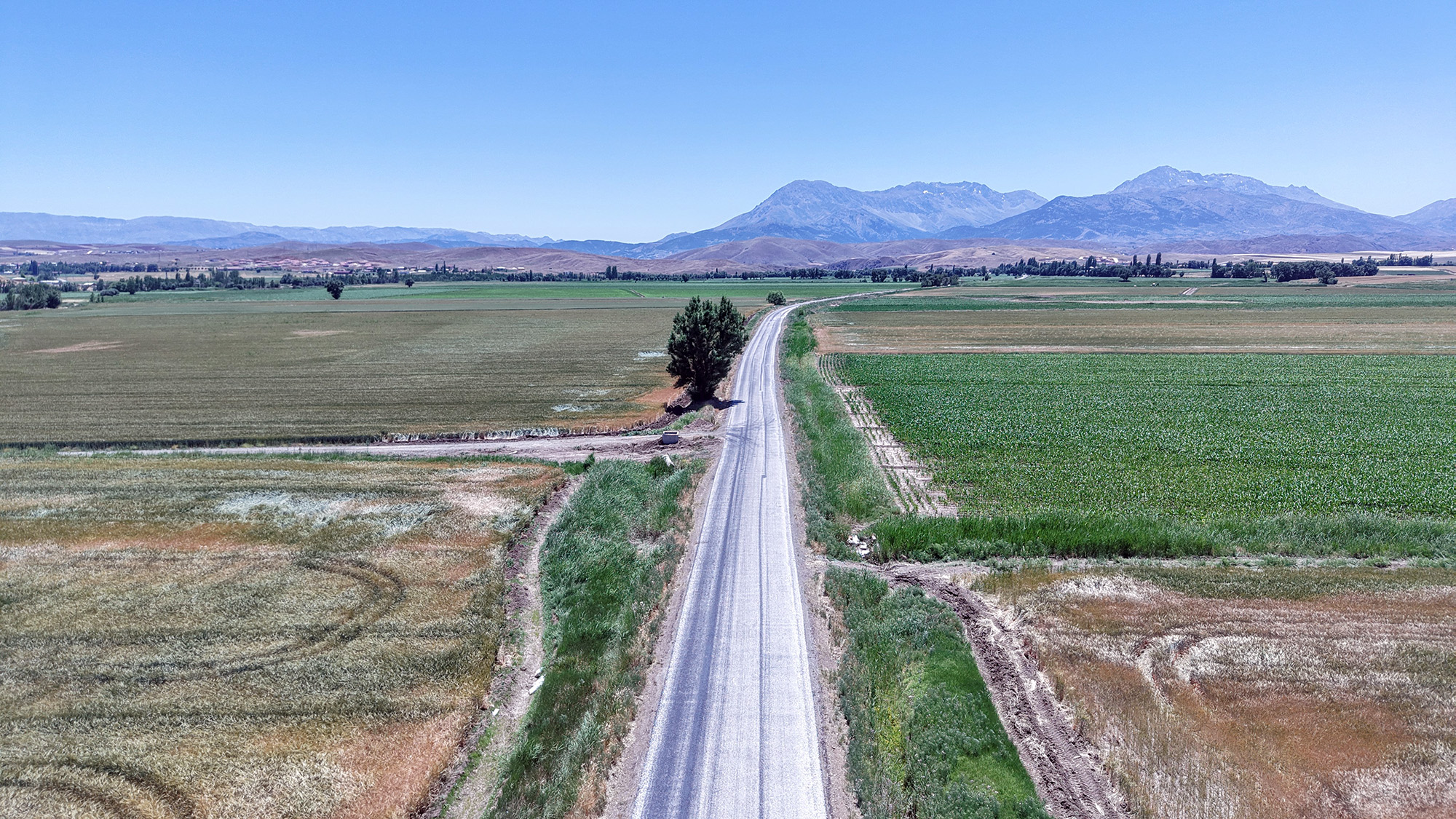 Kabaağaç Yolu (3)