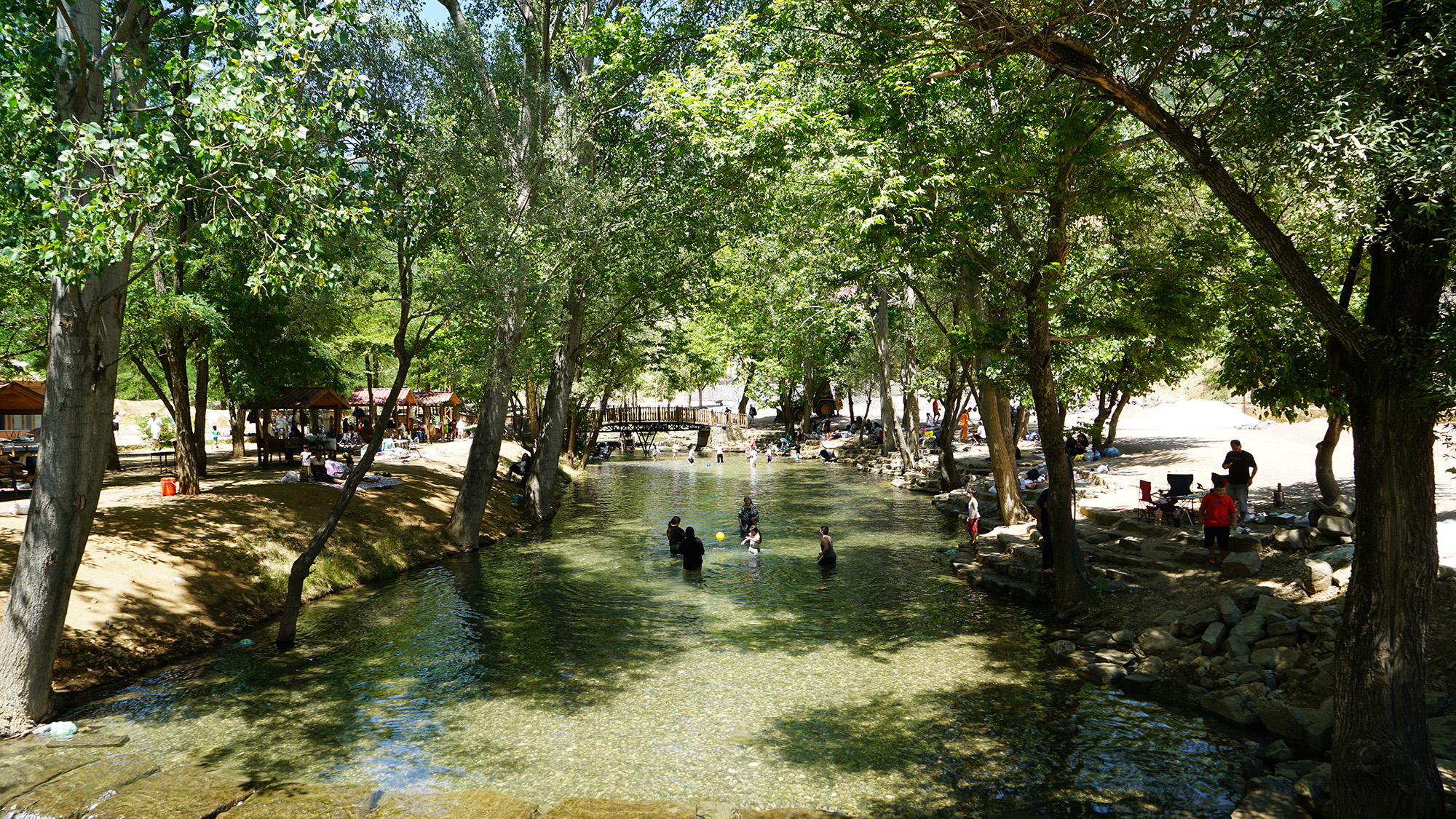 Yeşilgöz (1)