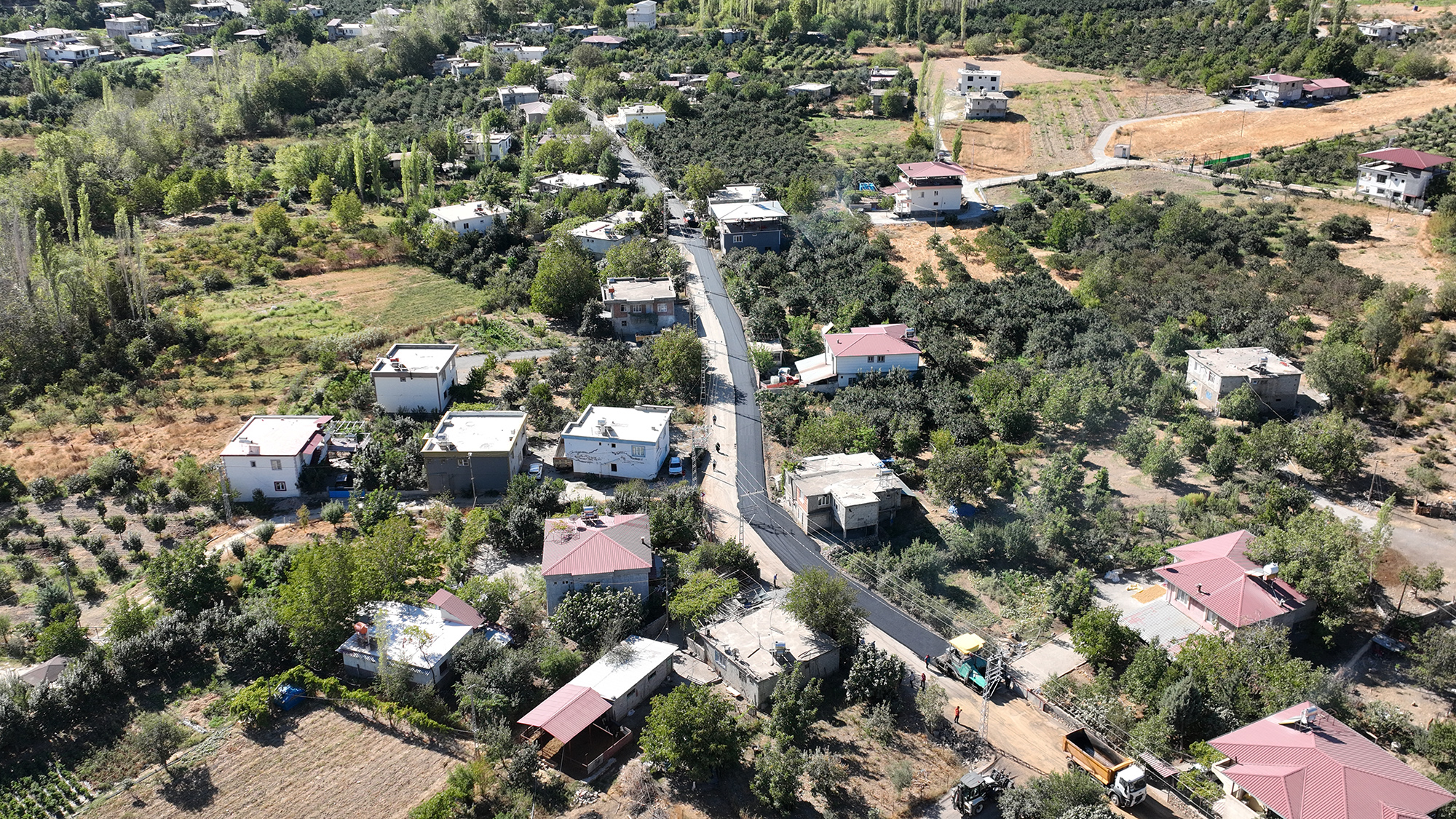 Türkoğlu Avşarlı (5)