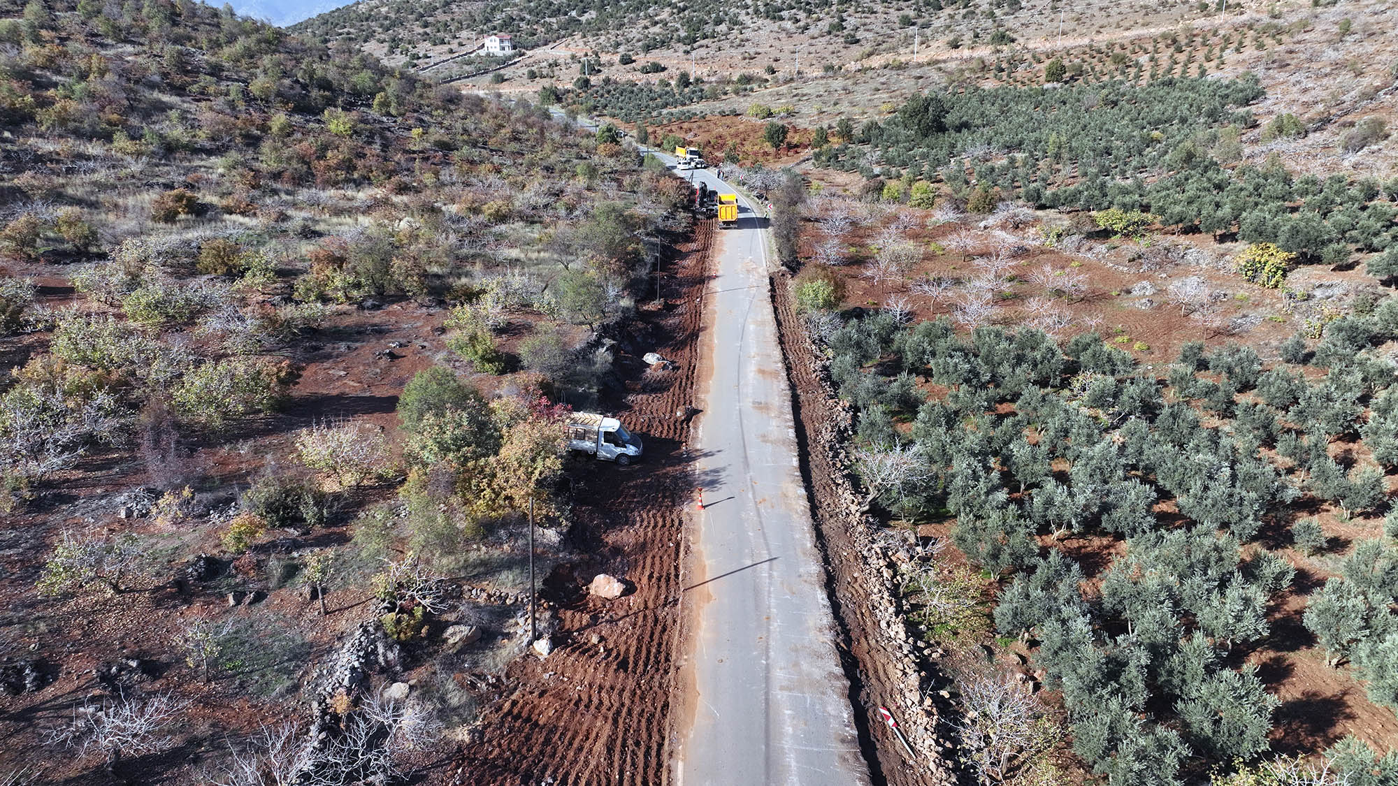 Türkoğlu Uzunsöğüt (6)