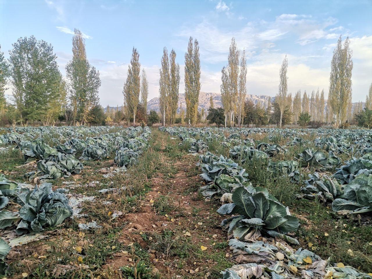 Whatsapp Image 2025 11 10 At 16.02.49