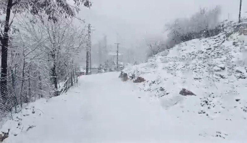 Whatsapp Image 2025 11 14 At 23.56.04