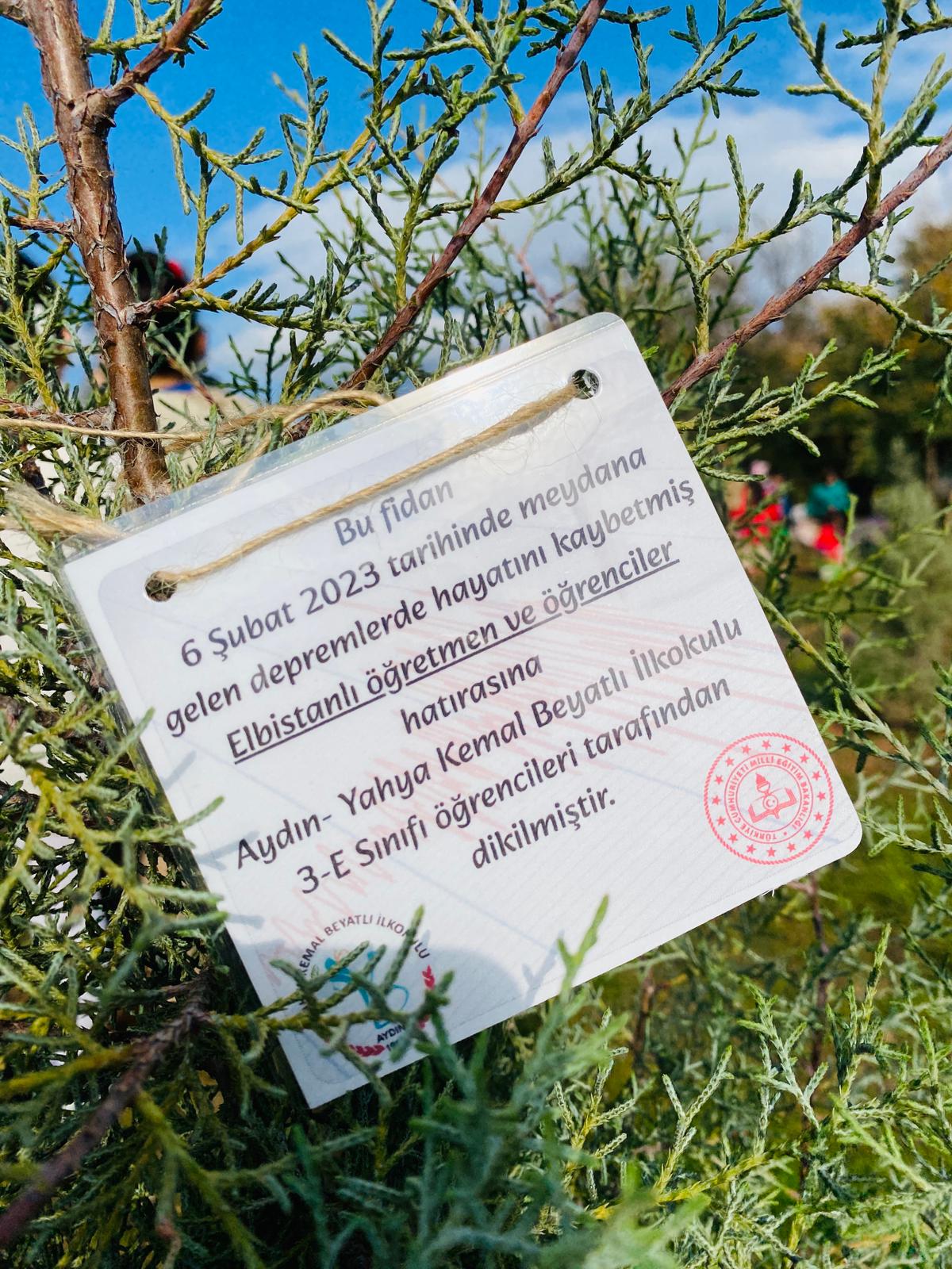 Whatsapp Image 2025 11 29 At 15.34.40 (1)