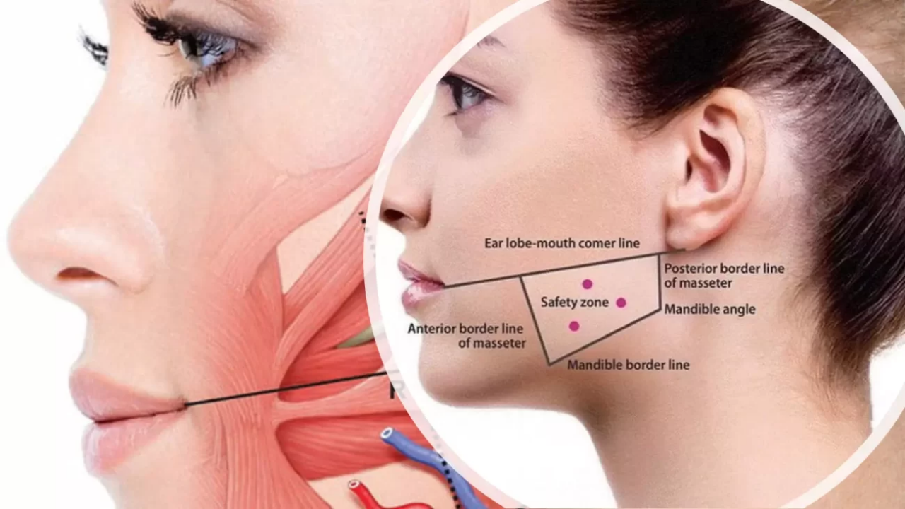 Çiğnemekası Haber