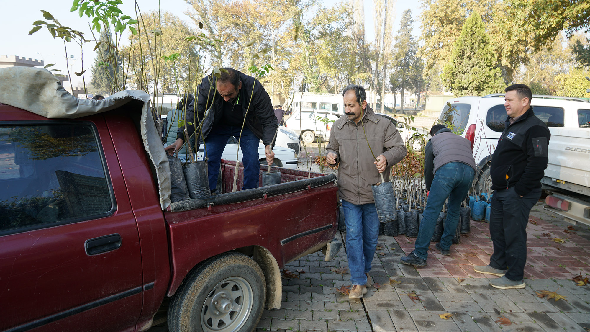 Fidan Dağıtımı (3)