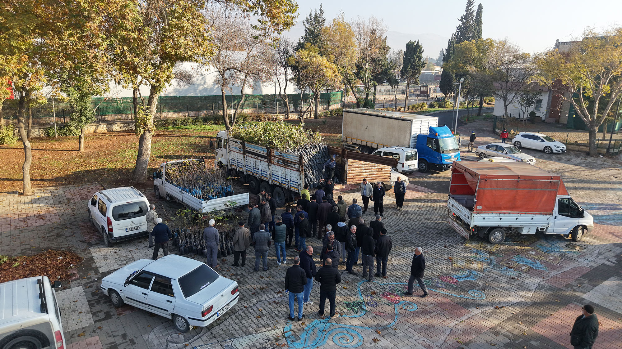 Fidan Dağıtımı (4)