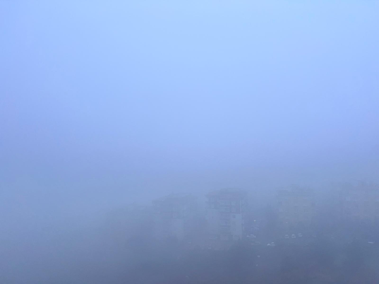 Whatsapp Image 2025 12 01 At 07.50.44