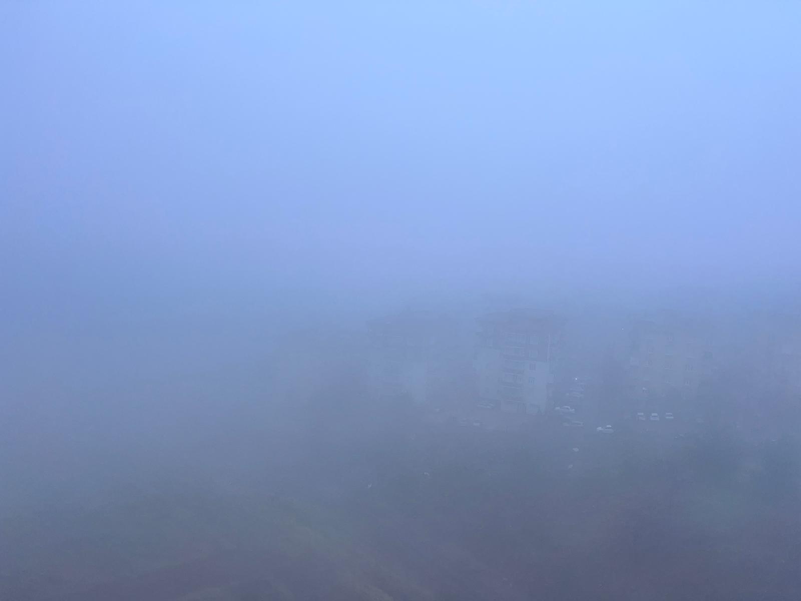 Whatsapp Image 2025 12 01 At 07.50.48