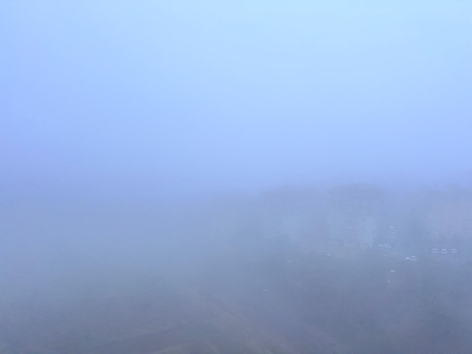 Whatsapp Image 2025 12 01 At 07.50.54