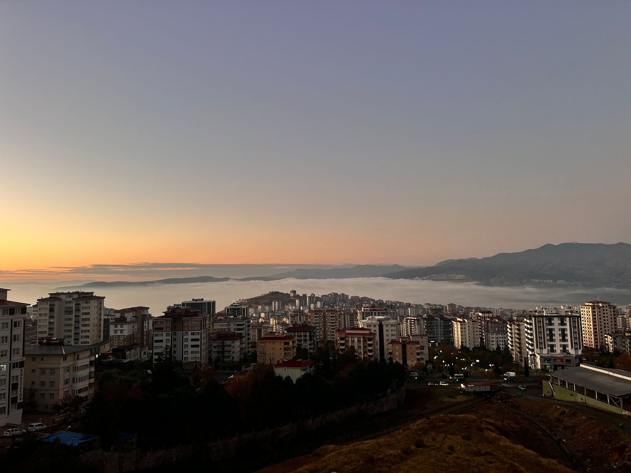 Whatsapp Image 2025 12 02 At 11.36.45