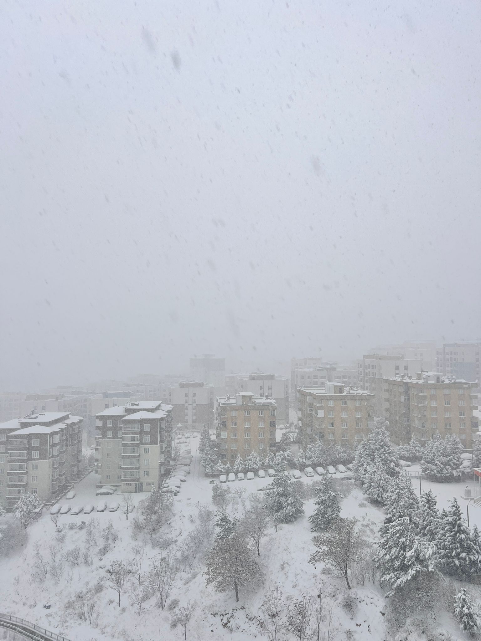 Whatsapp Image 2025 12 31 At 08.20.45