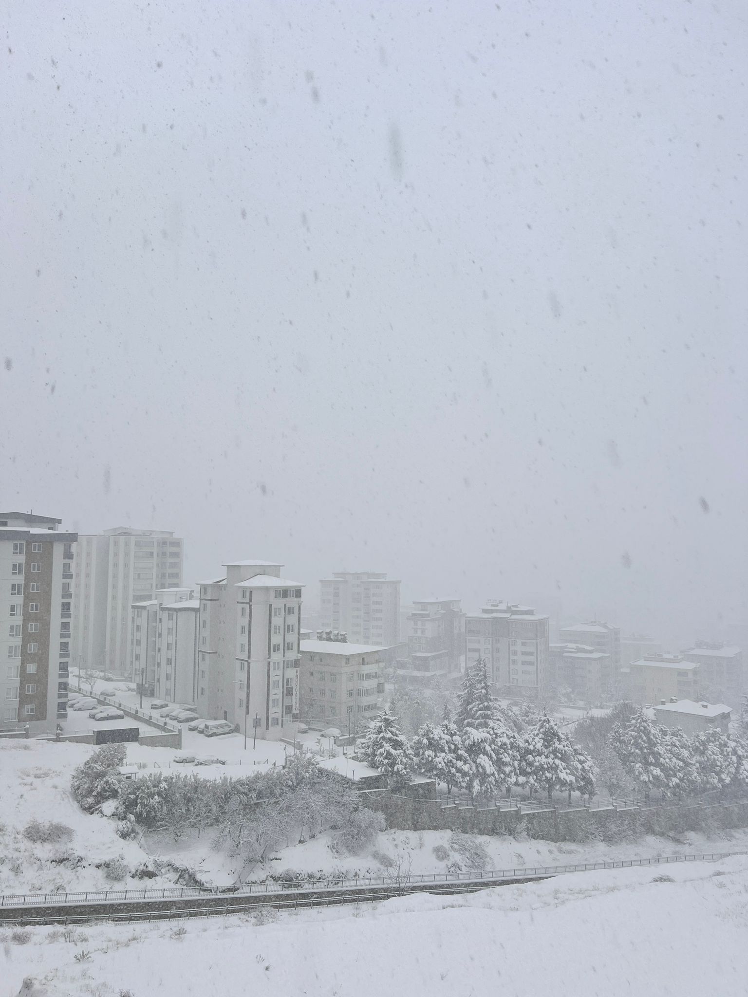 Whatsapp Image 2025 12 31 At 08.21.10