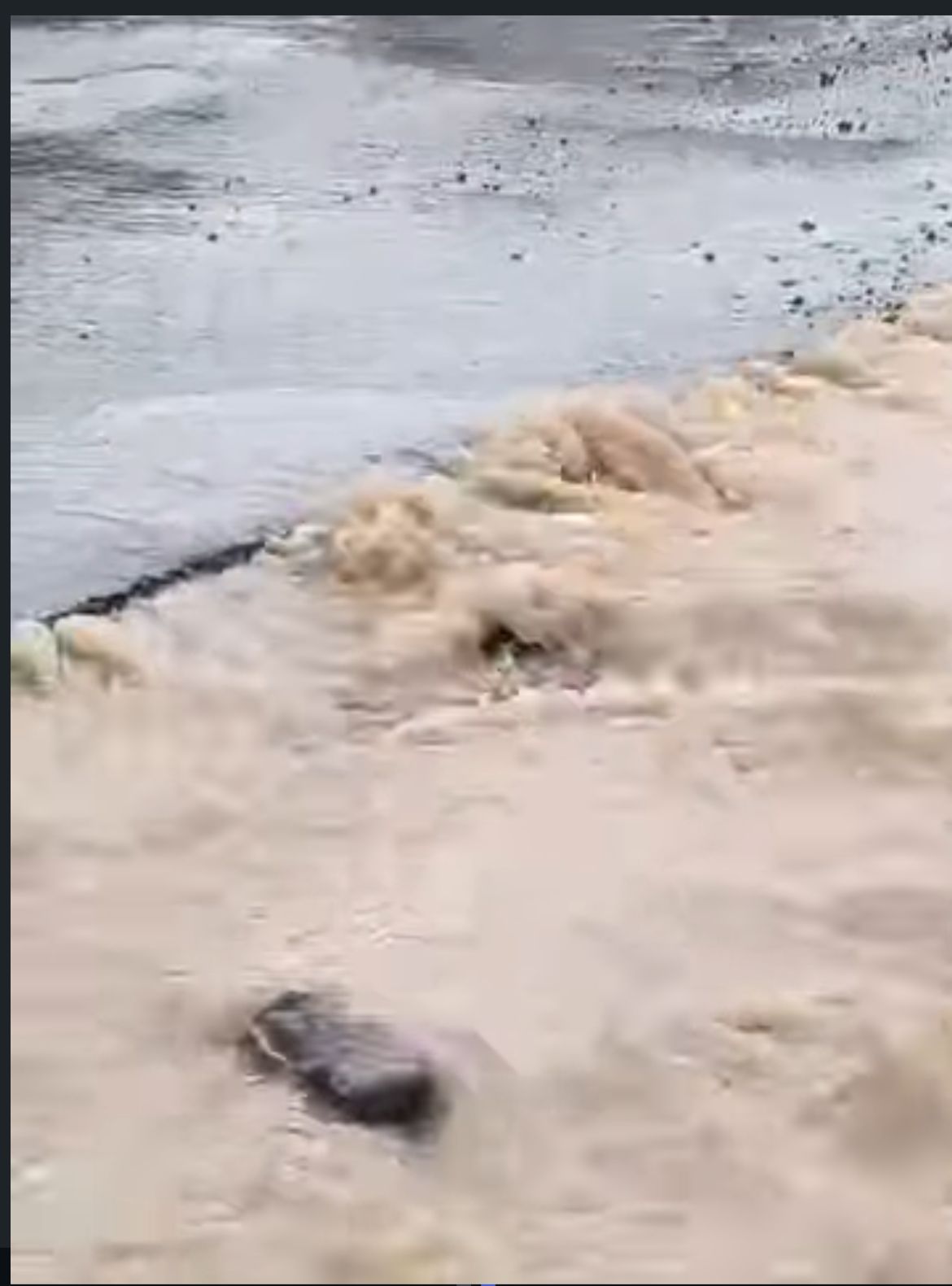 Whatsapp Image 2026 01 12 At 19.10.07