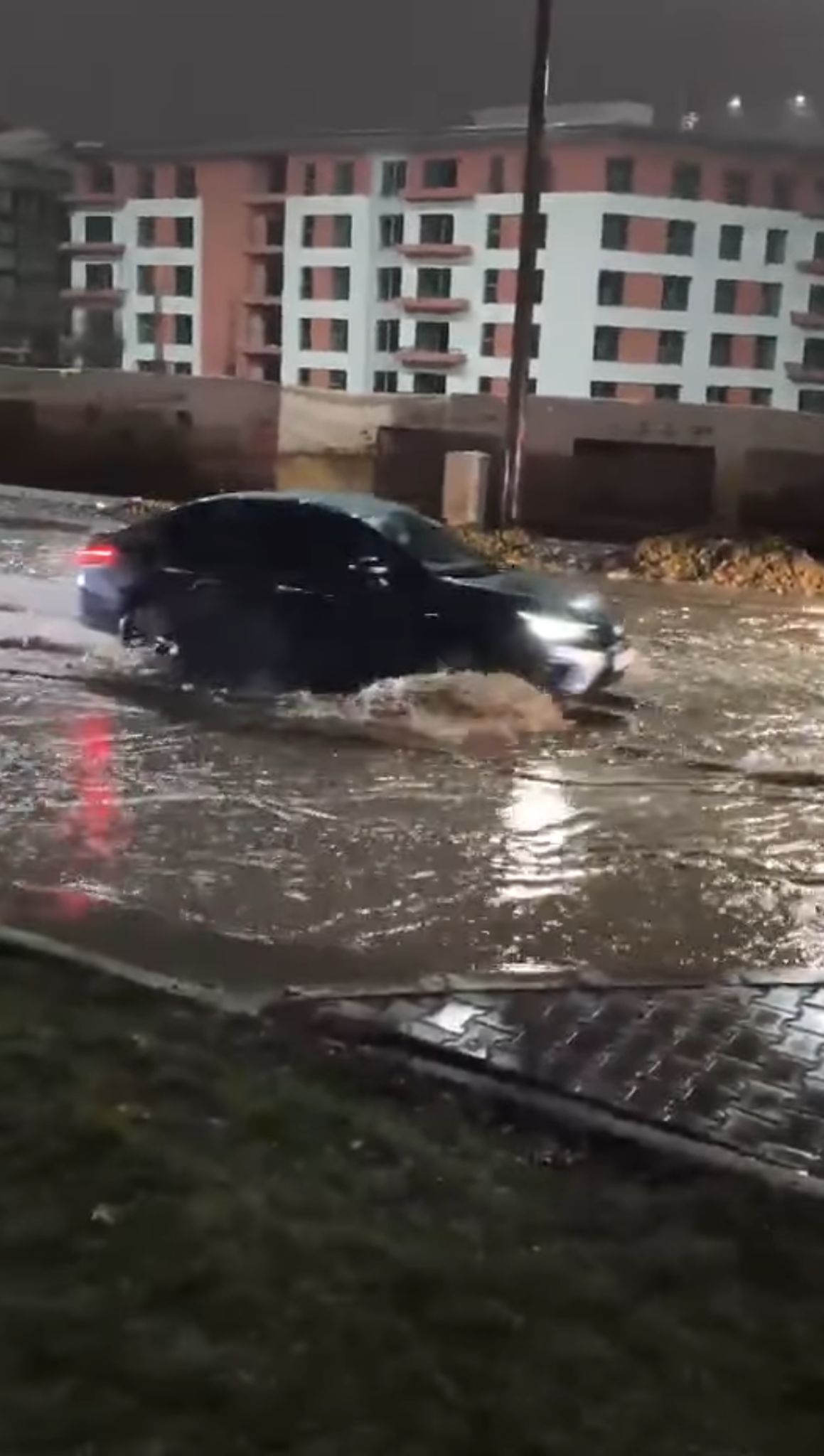 Whatsapp Image 2026 01 12 At 20.33.44