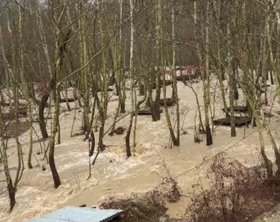 Whatsapp Image 2026 02 13 At 13.40.12 (1)