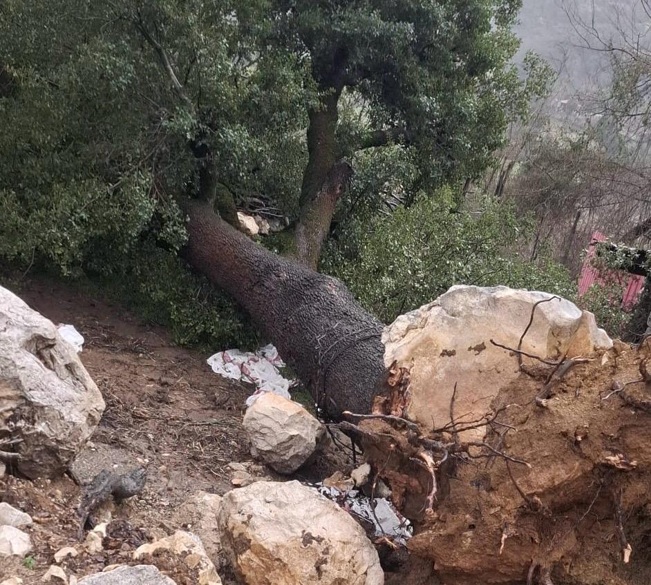 Whatsapp Image 2026 02 13 At 15.05.50 (2)