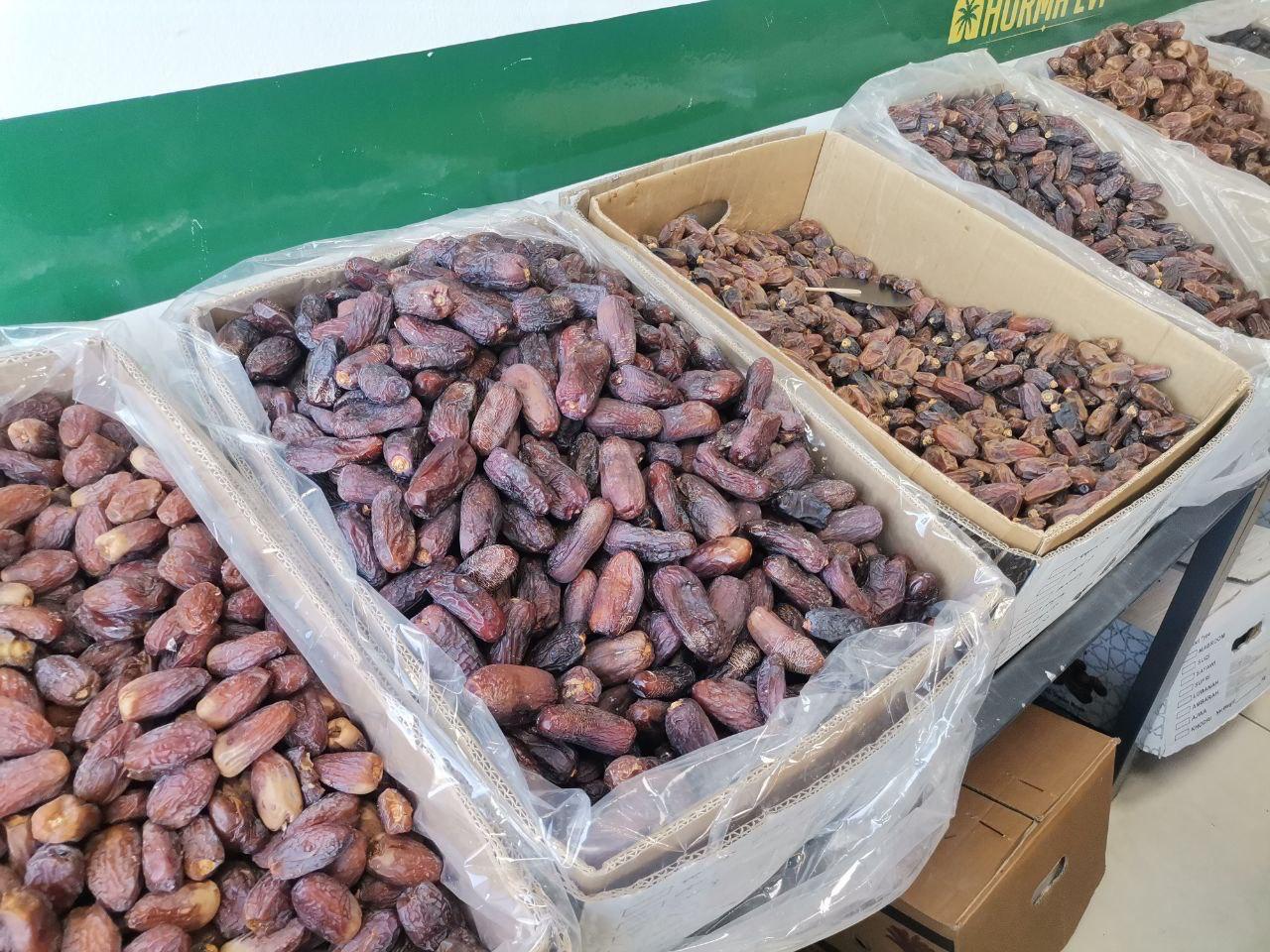 Whatsapp Image 2026 02 20 At 15.50.52