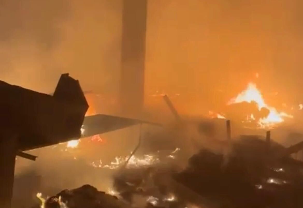 Whatsapp Image 2026 03 10 At 13.05.18 (1)