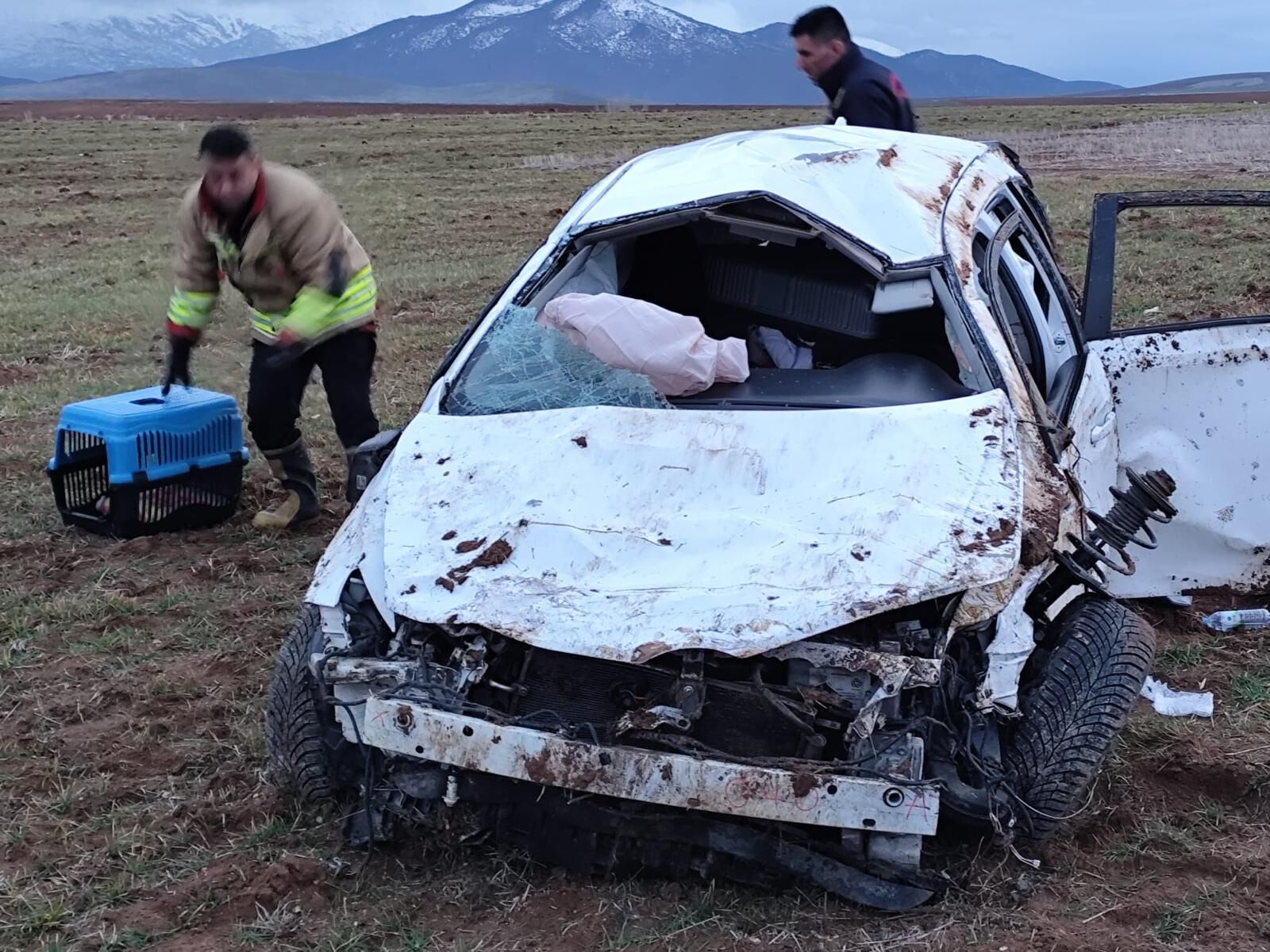 Whatsapp Image 2026 03 17 At 12.05.21