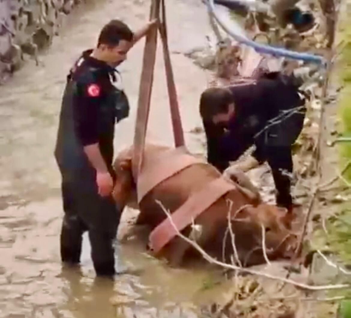 Whatsapp Image 2026 03 30 At 13.55.55 (1)