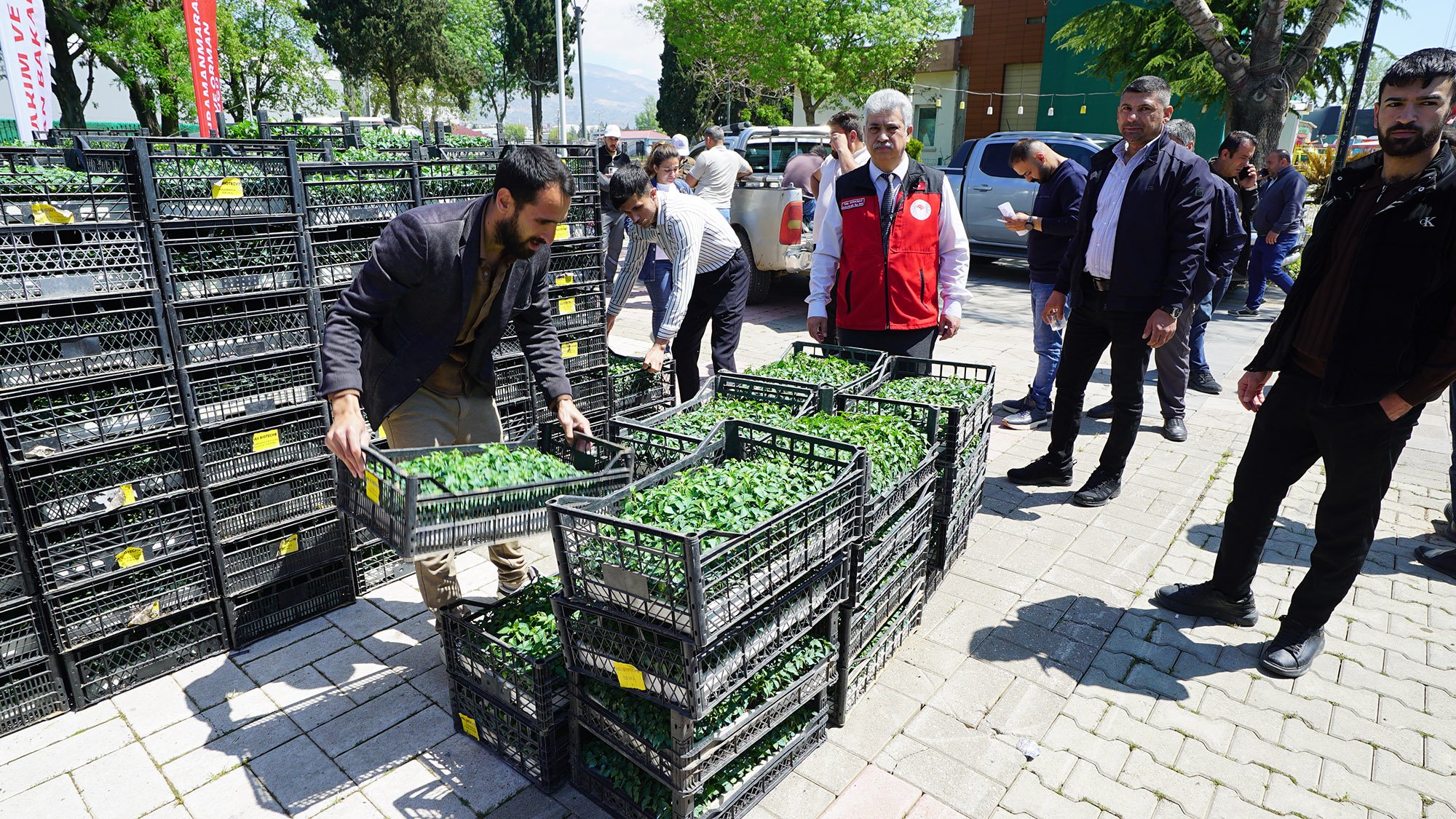 Fide Dağıtımı (3)