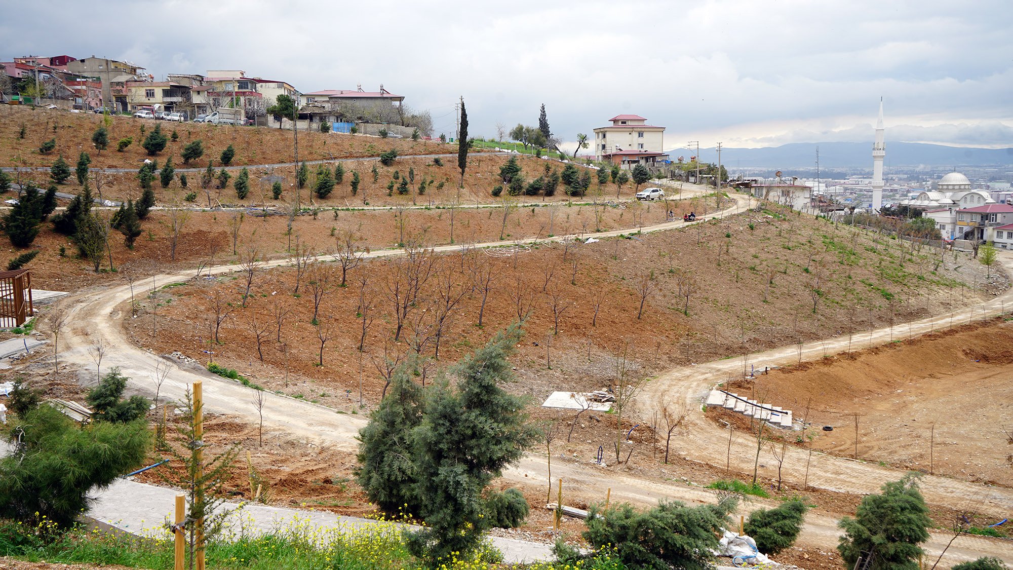 Karbon Yutak Alanı (5)