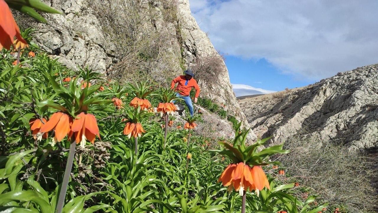 Whatsapp Image 2026 04 02 At 14.16.32 (1)