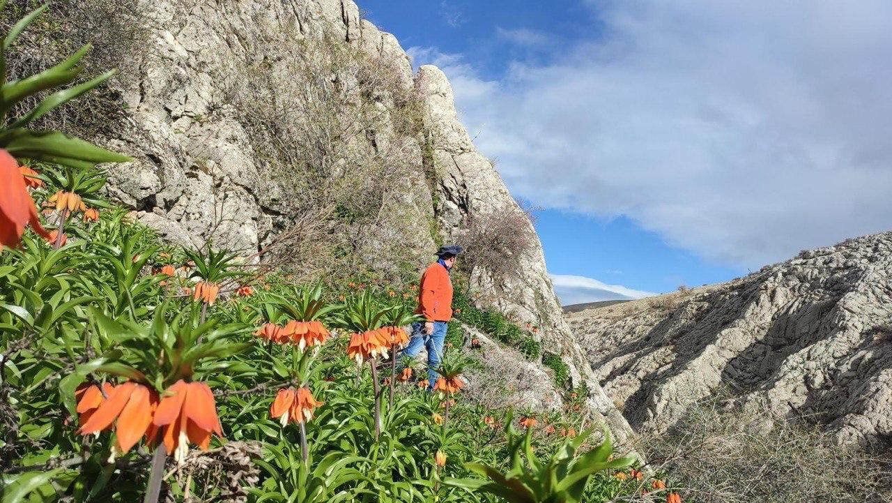 Whatsapp Image 2026 04 02 At 14.16.32