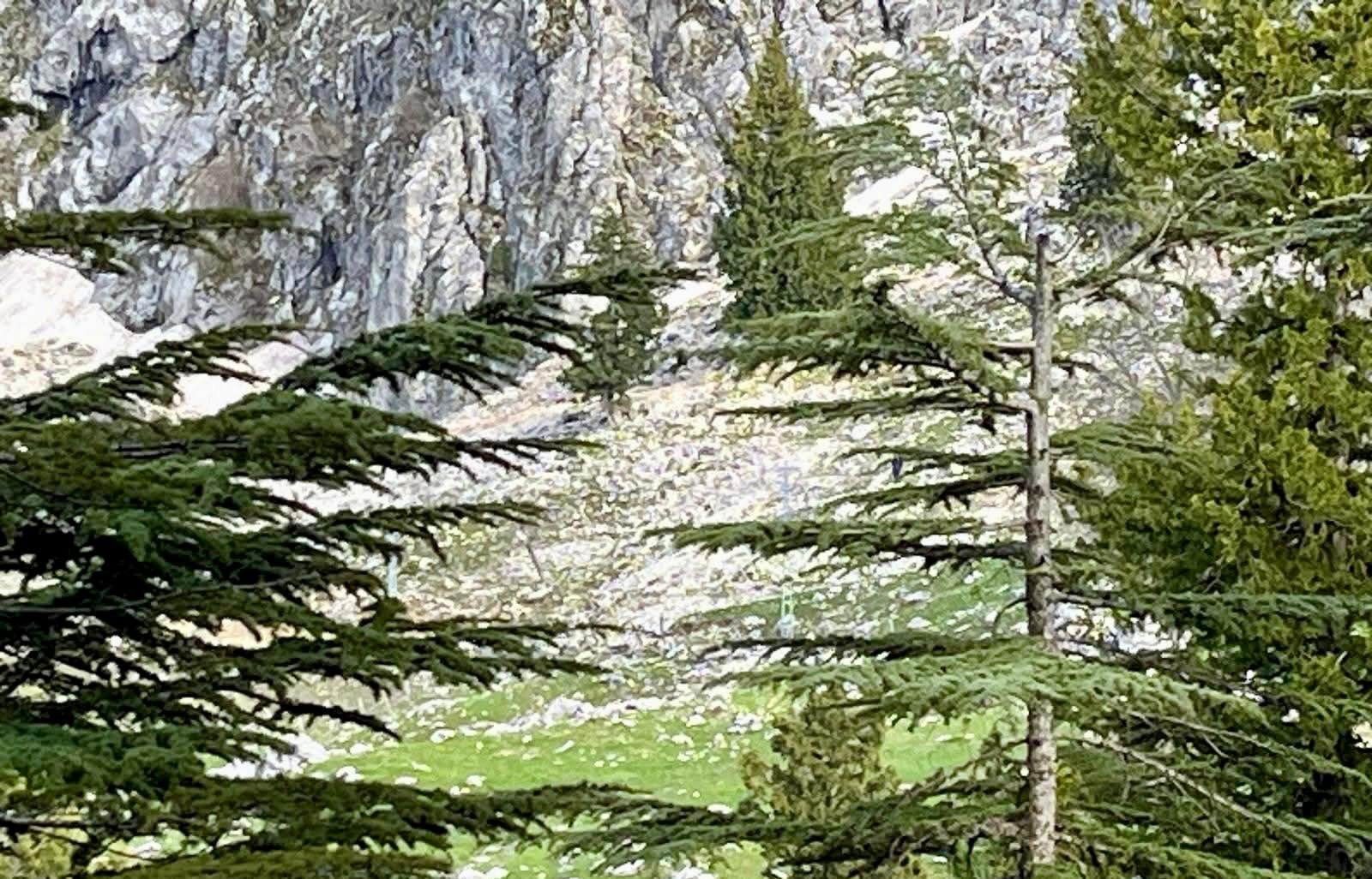 Whatsapp Image 2026 04 14 At 20.09.24 (1)