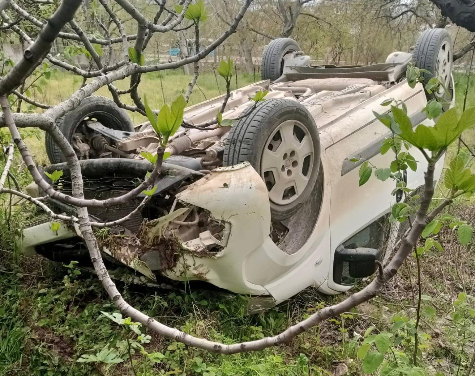 Whatsapp Image 2026 04 17 At 18.41.15