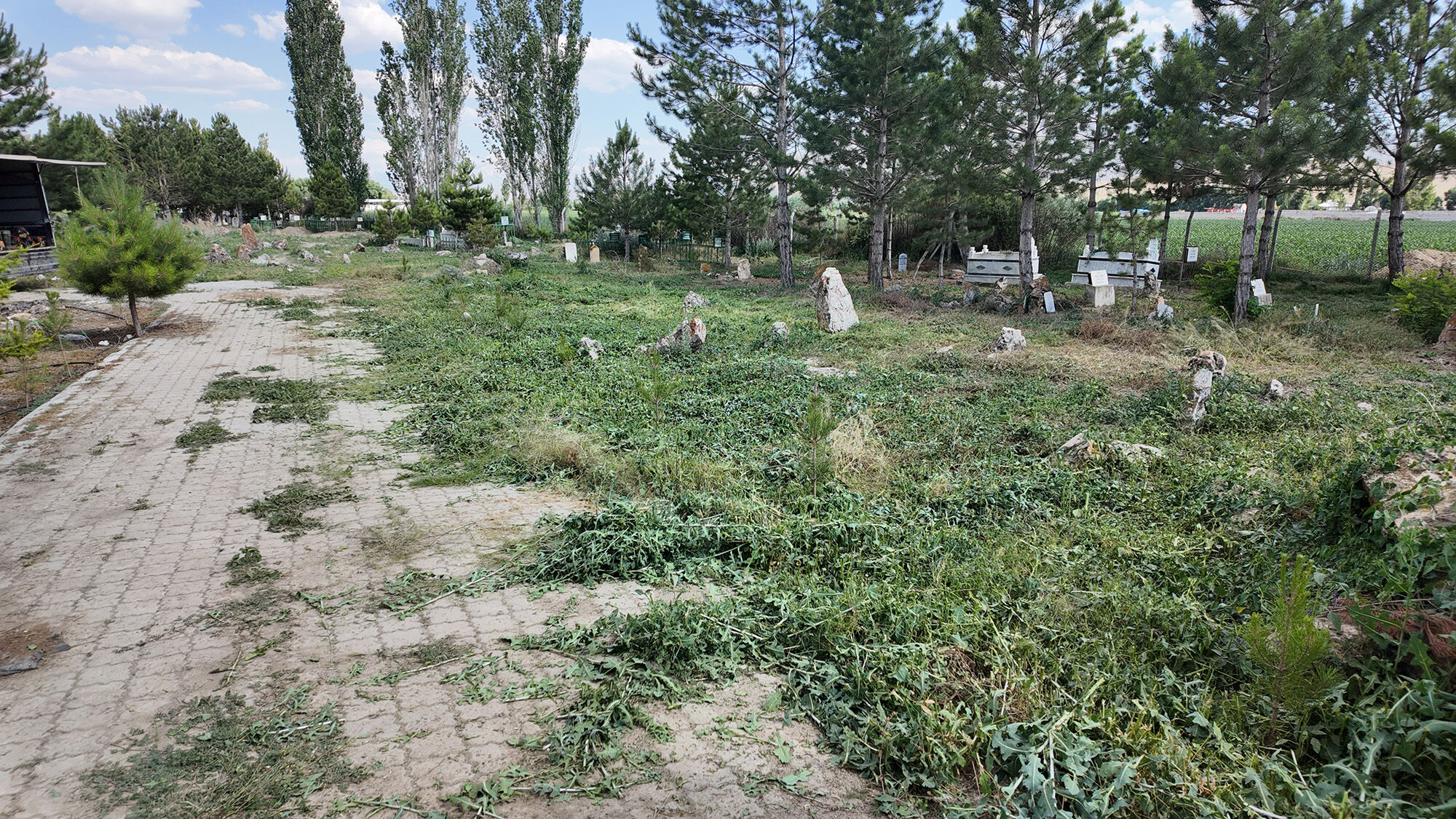 Elbistan (1)-2