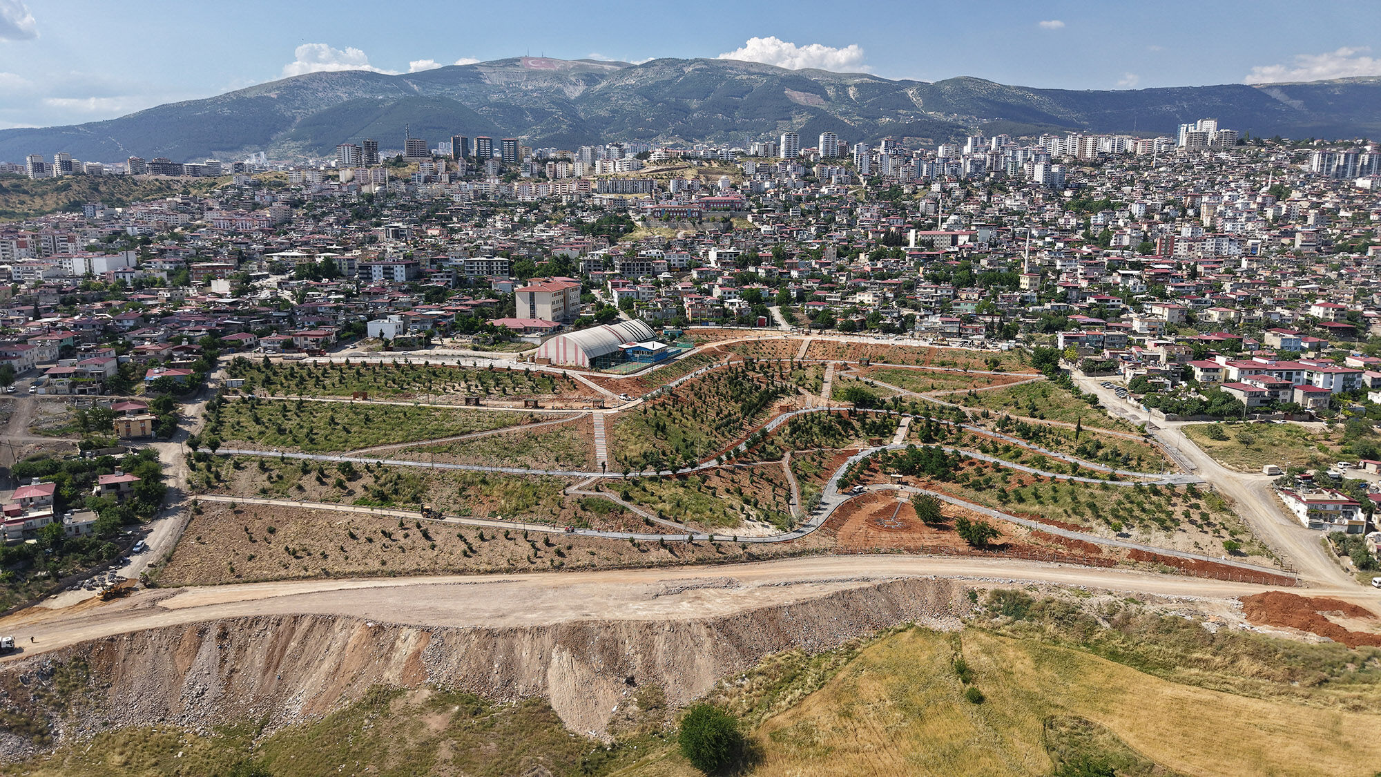 Karbon Yutak Alanı (4)