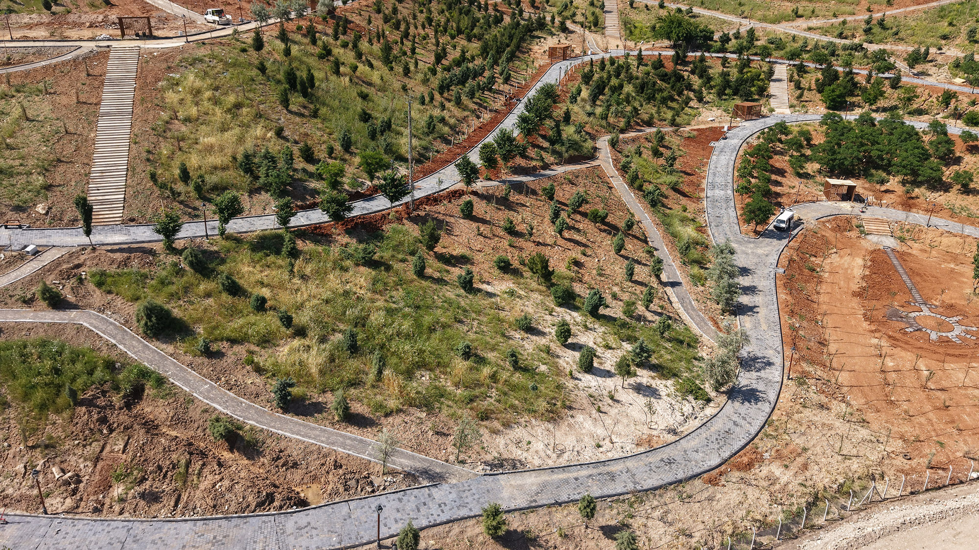 Karbon Yutak Alanı (8)-1