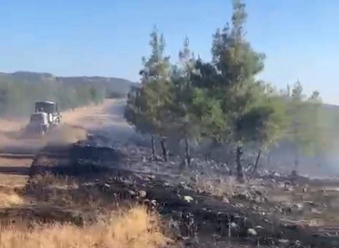 Nurdağı’nda Orman Yangını! Ekipler Zamana Karşı Yarıştı
