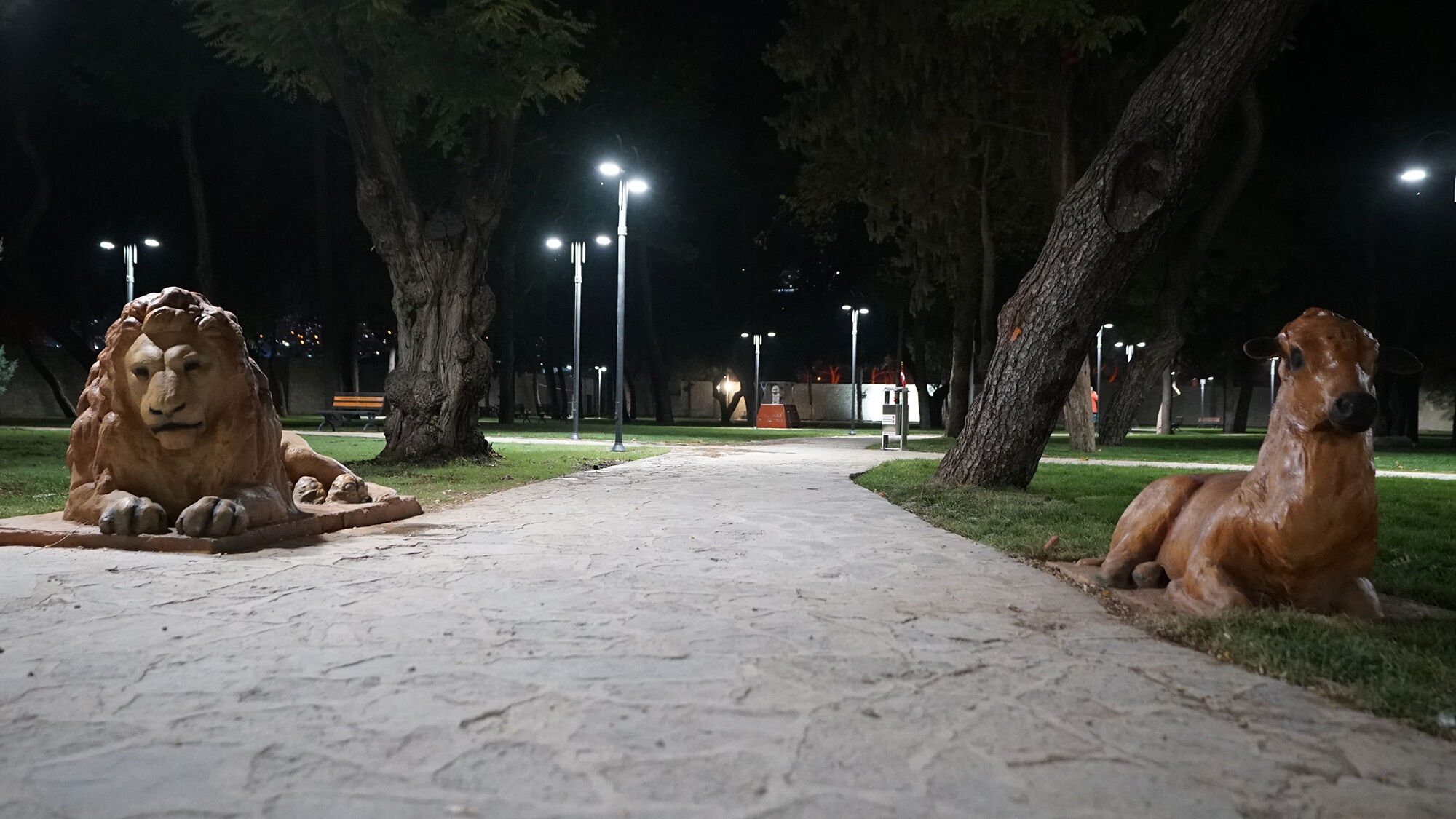 Kale Gece6