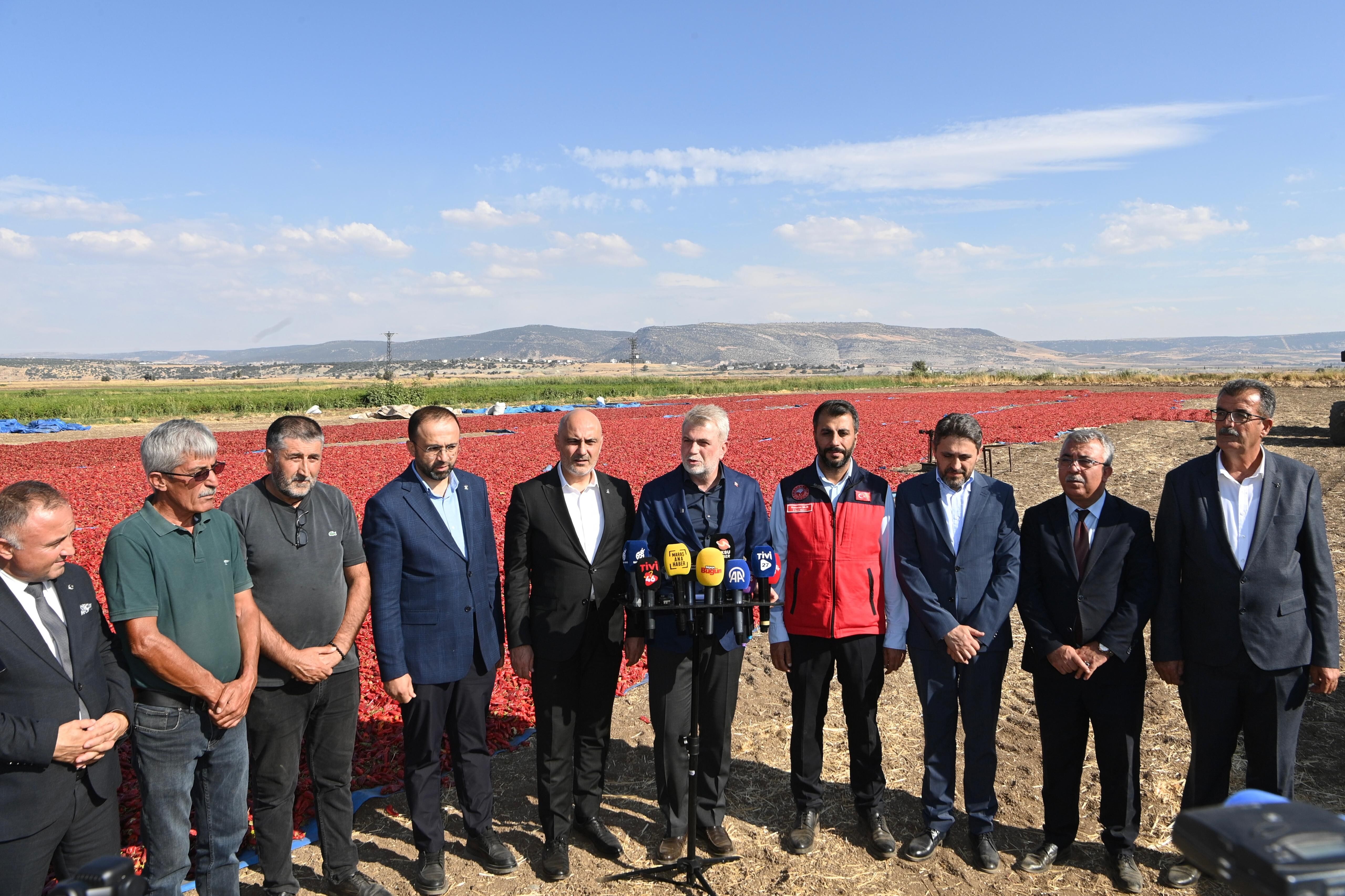 Maraş Biberi Hasadı (5)